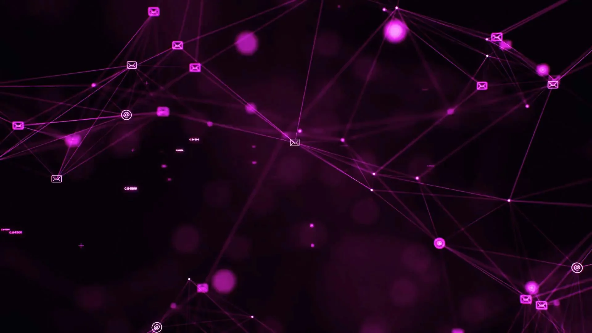 pink bg
